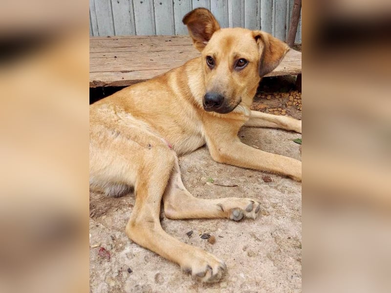 Alun – offen und verspielt