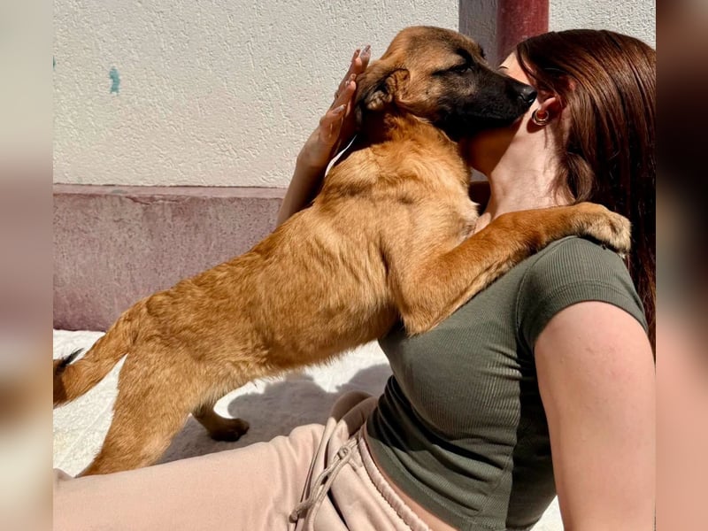Bino ,vorsichtiger Herzensjunge sucht sein Glück.