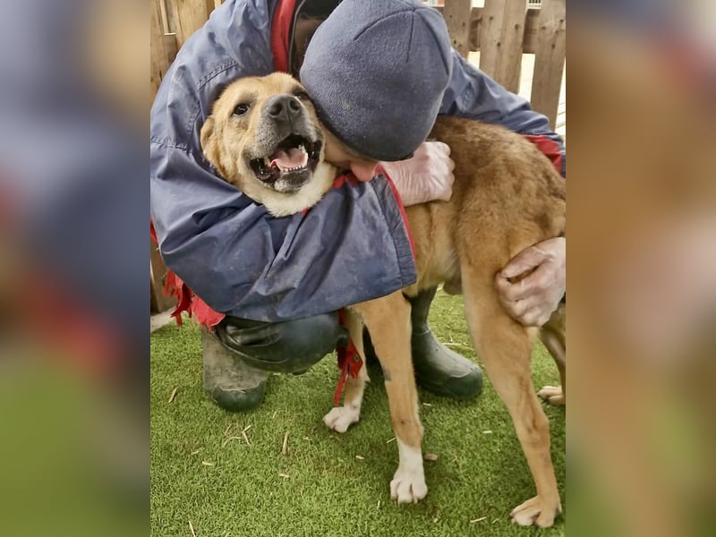 Super freundlicher Bolek