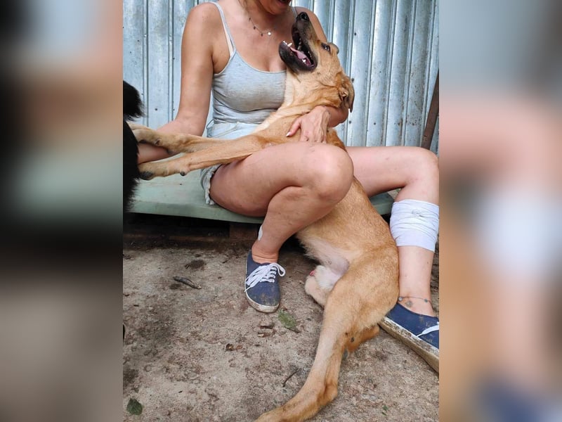 Alun – offen und verspielt