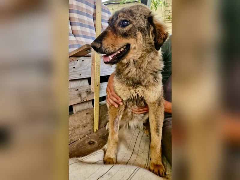 Felina, sie wartet auf ihr Happy End...