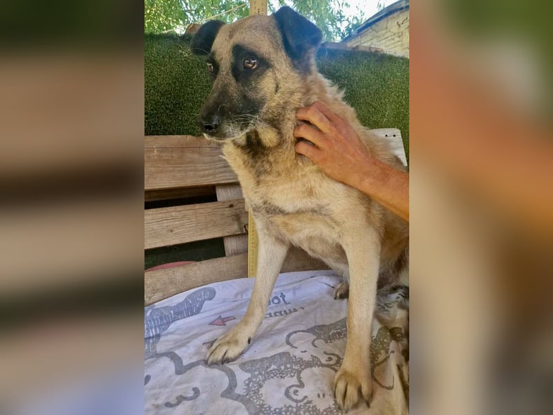 Timon, sein Herz braucht Zeit