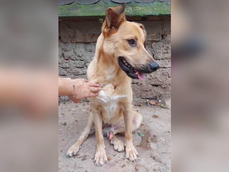 Alun – offen und verspielt