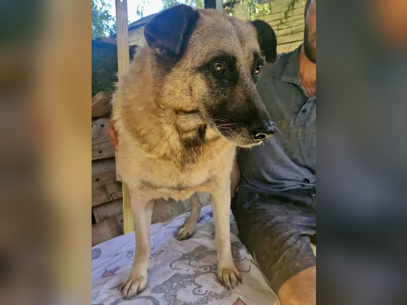 Timon, sein Herz braucht Zeit
