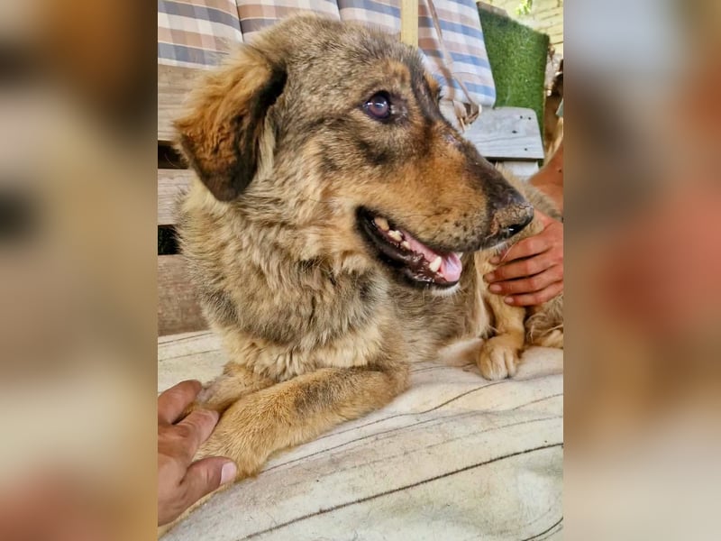 Felina, sie wartet auf ihr Happy End...