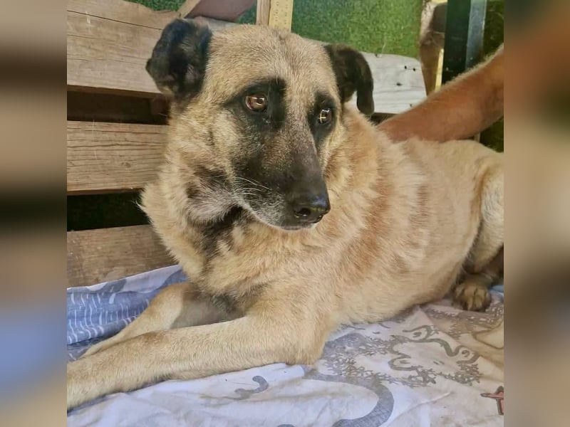 Timon, sein Herz braucht Zeit