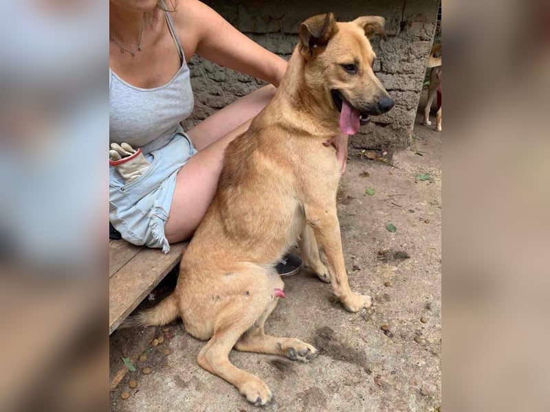 Alun – offen und verspielt