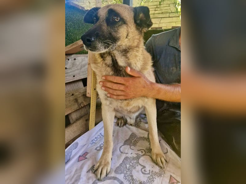 Timon, sein Herz braucht Zeit