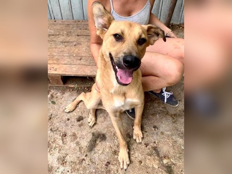 Alun – offen und verspielt