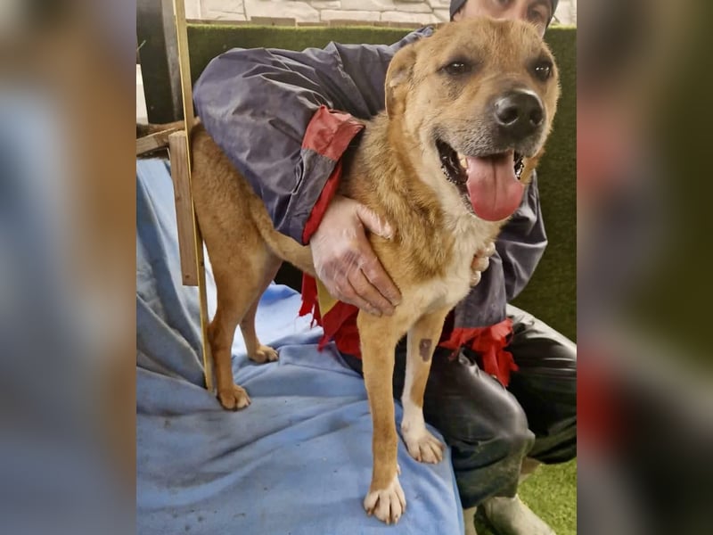 Super freundlicher Bolek