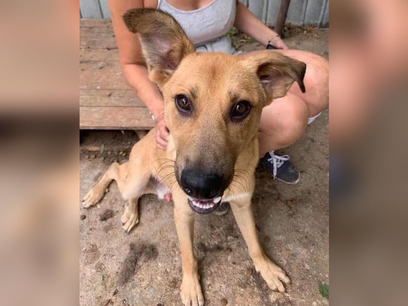 Alun – offen und verspielt