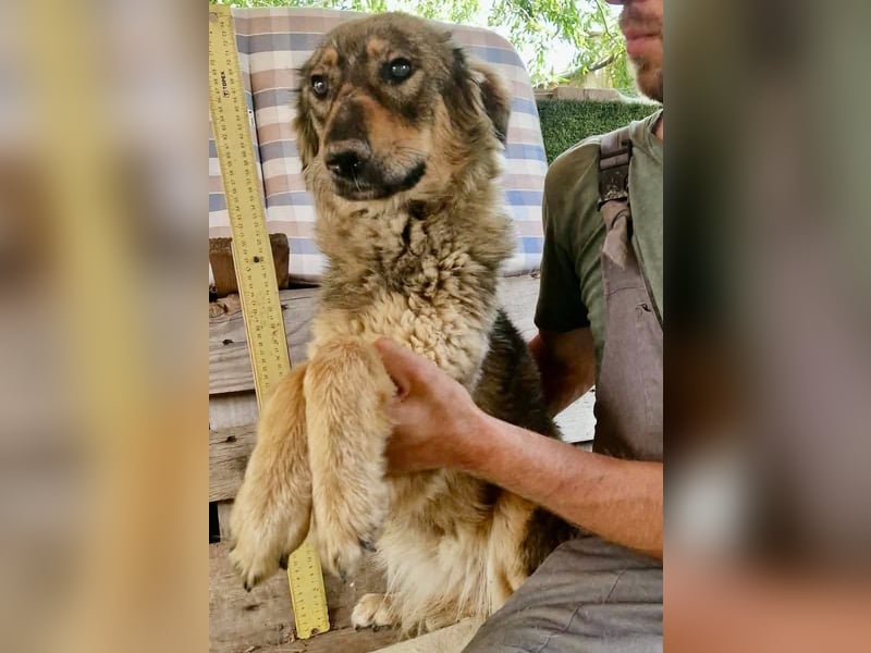 Felina, sie wartet auf ihr Happy End...