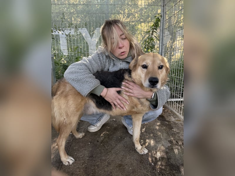 Jago hat ein großes Herz