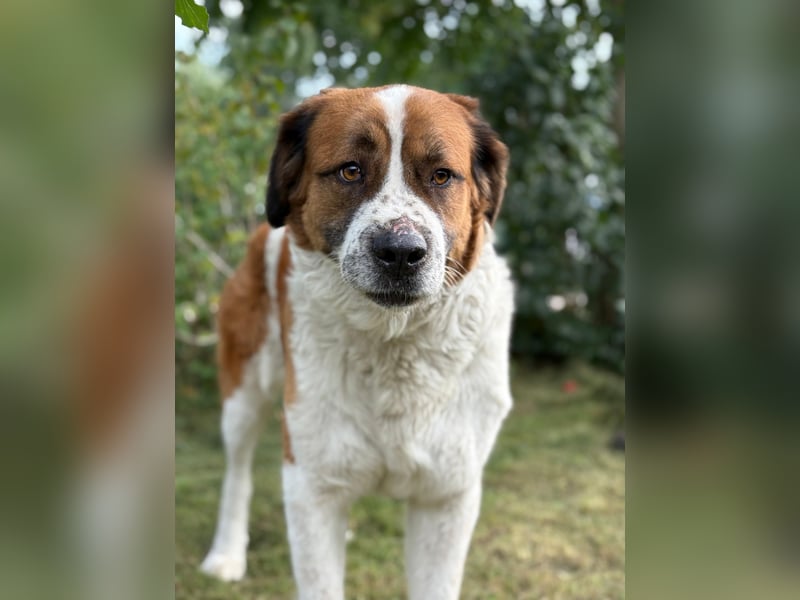 Ruslan sucht Menschen, bei denen er ankommen darf