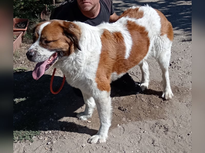 Ruslan sucht Menschen, bei denen er ankommen darf