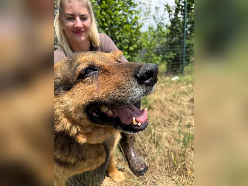 Charlie – unser Sonnenschein