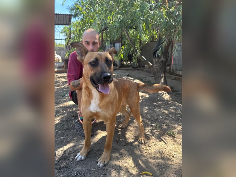 Eda sucht Abenteuer-Buddy