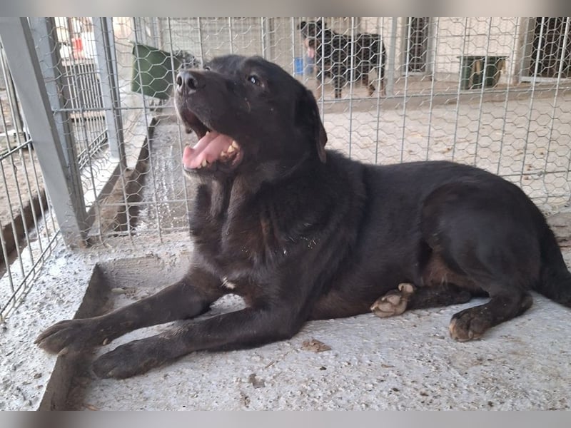 Nerino möchte gerne zu DIR reisen