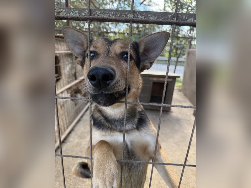 Jankó- ich möchte so gerne ankommen