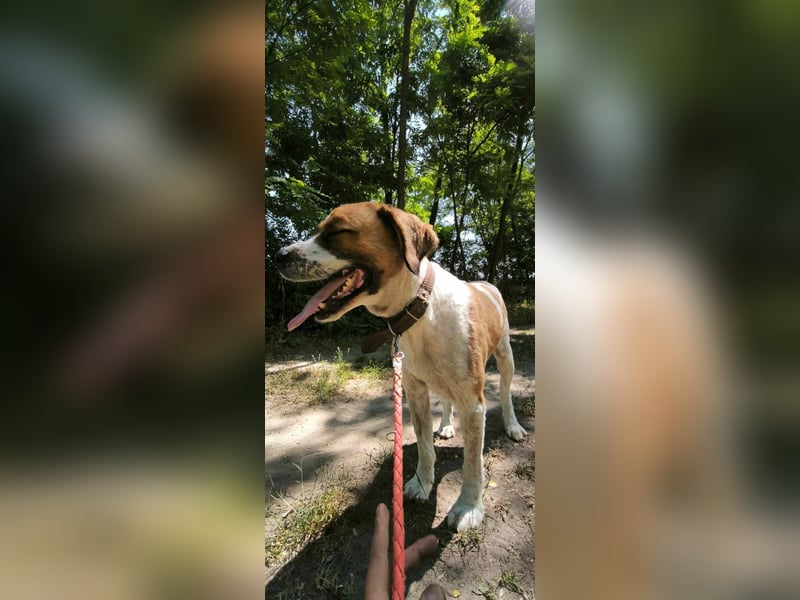 Ruslan sucht Menschen, bei denen er ankommen darf