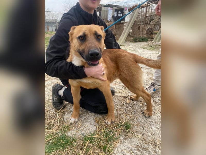 Eda sucht Abenteuer-Buddy