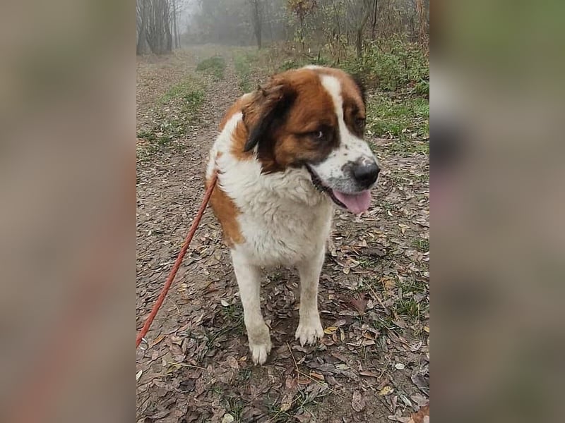 Ruslan sucht Menschen, bei denen er ankommen darf