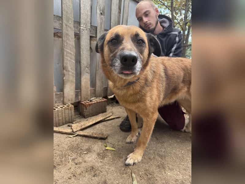 Amigó ist bereit für sein neues Leben