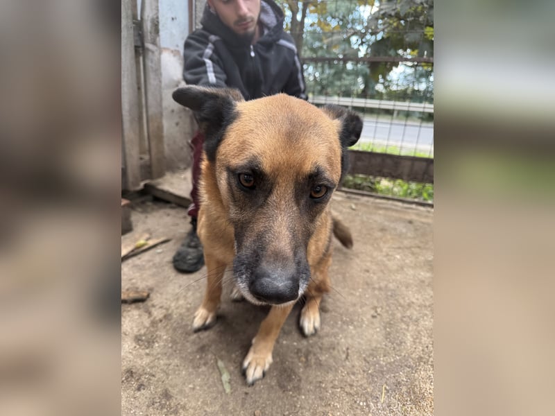 Amigo, wird er dein Freund?