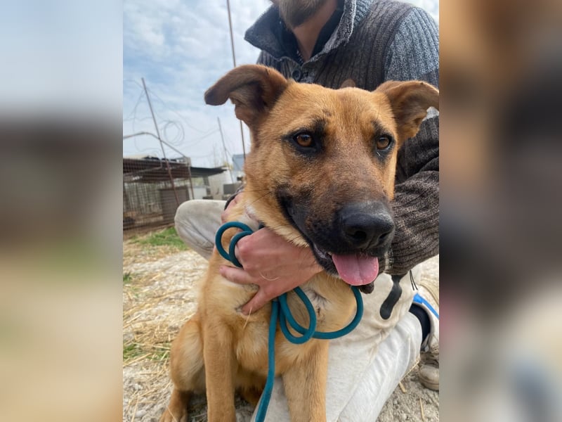 Eda sucht Abenteuer-Buddy
