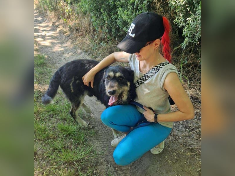 Hermiusz - Will dein Vertrauen gewinnen!