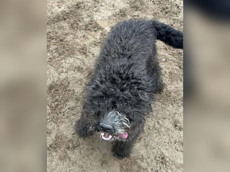 Cézi möchte so gerne dazugehören