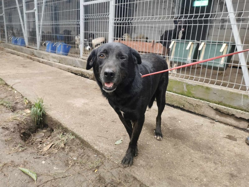 Nerino möchte gerne zu DIR reisen