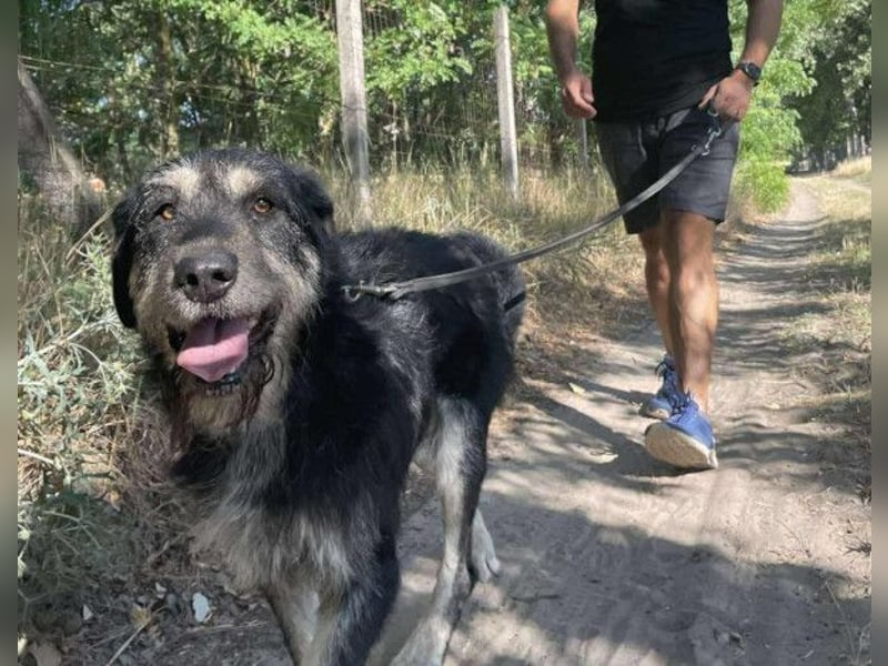 Hermiusz hat so viel Liebe zu geben