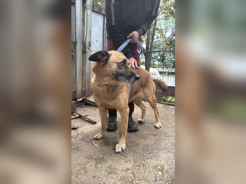 Amigo, wird er dein Freund?