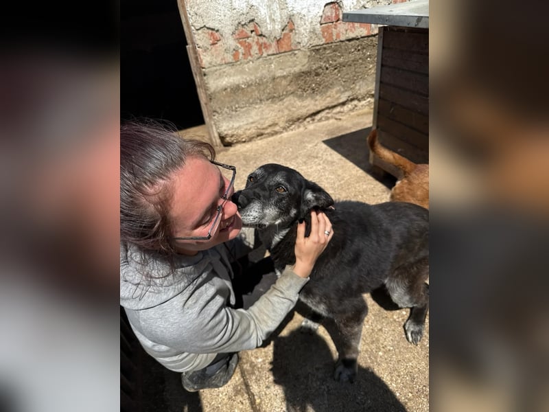 Kapuccino verdient ein Happy End