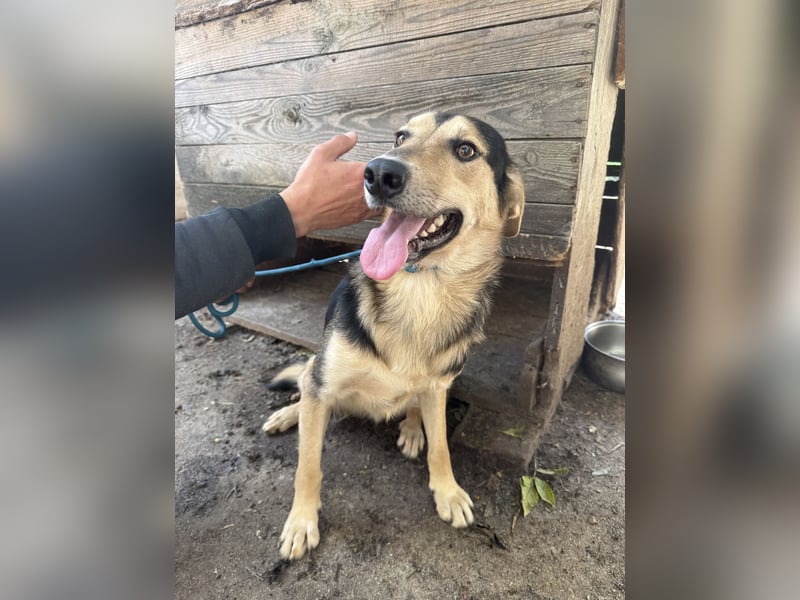 Ahmed braucht eine Chance