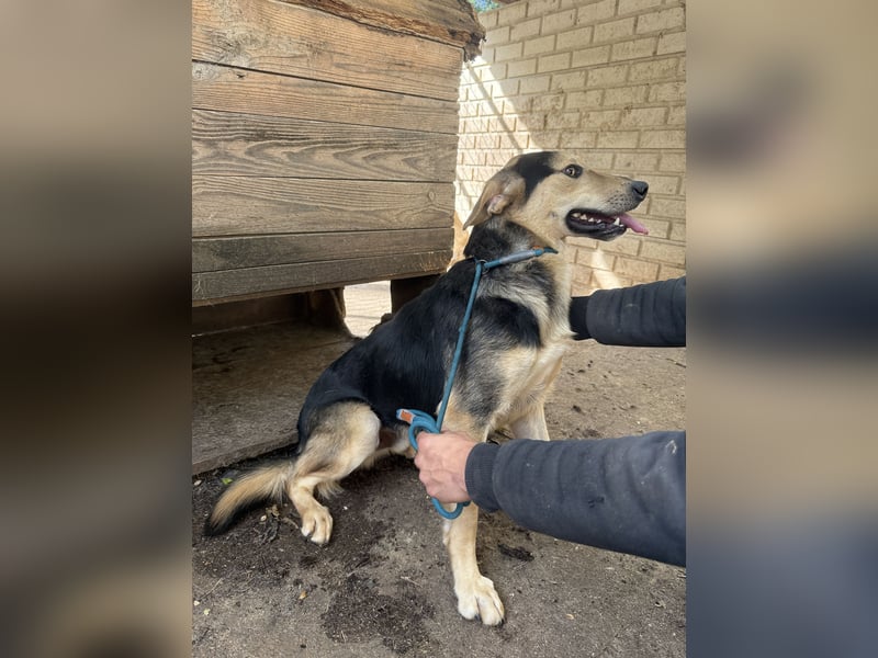 Ahmed möchte endlich glücklich sein