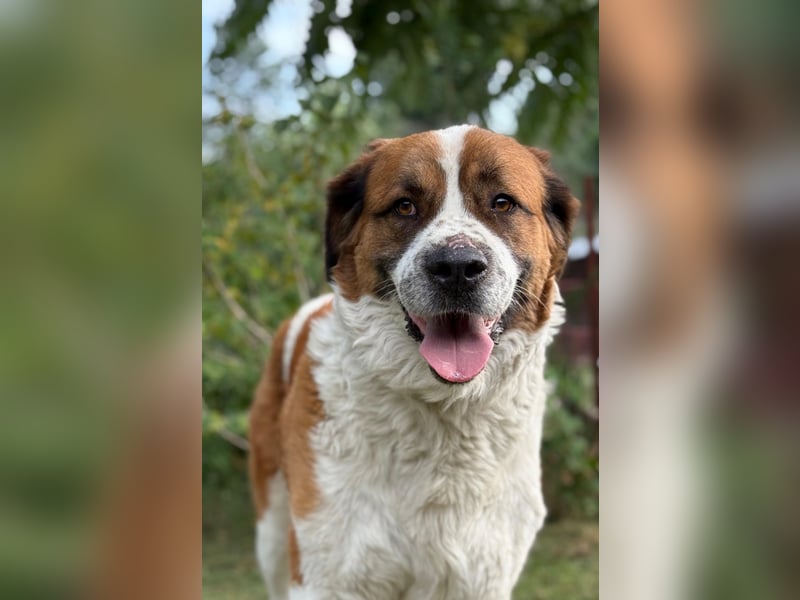 Ruslan sucht Menschen, bei denen er ankommen darf