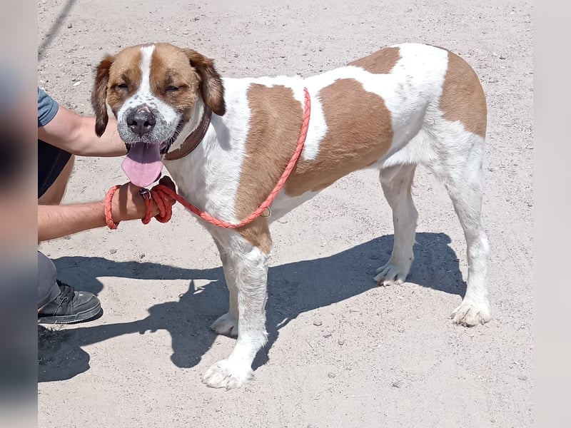 Ruslan sucht Menschen, bei denen er ankommen darf