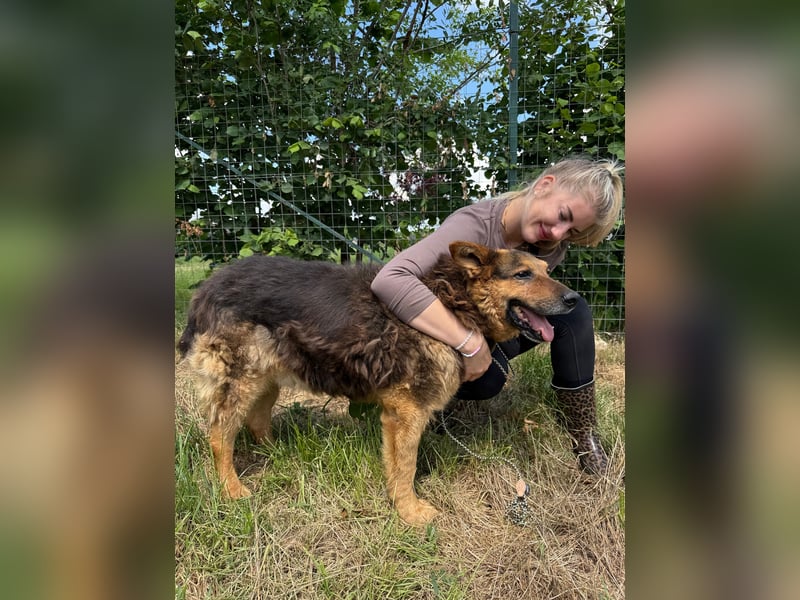 Charlie – unser Sonnenschein