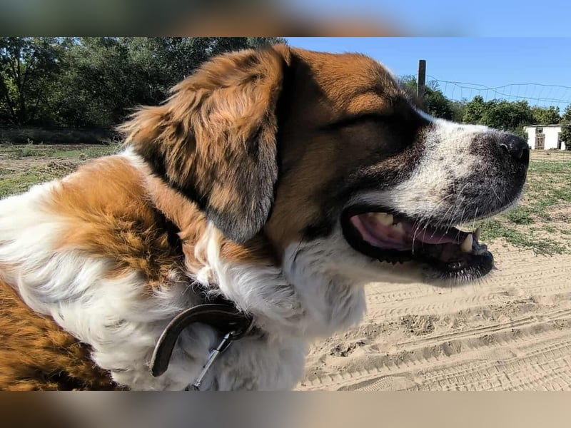 Ruslan sucht Menschen, bei denen er ankommen darf