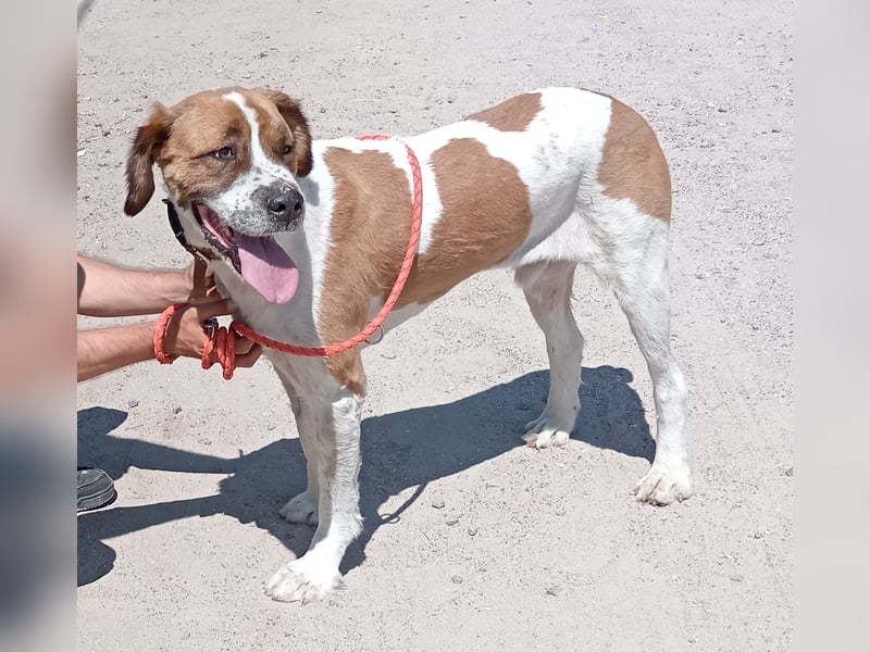 Ruslan sucht Menschen, bei denen er ankommen darf