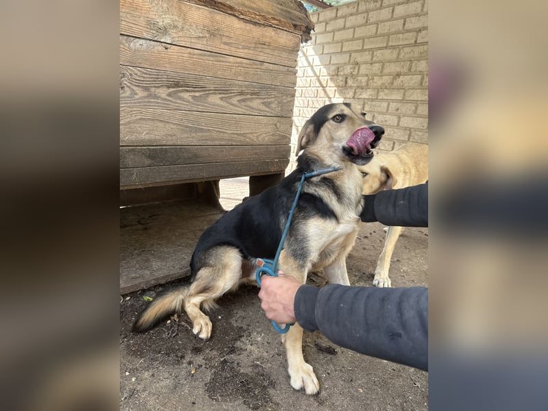 Ahmed braucht eine Chance