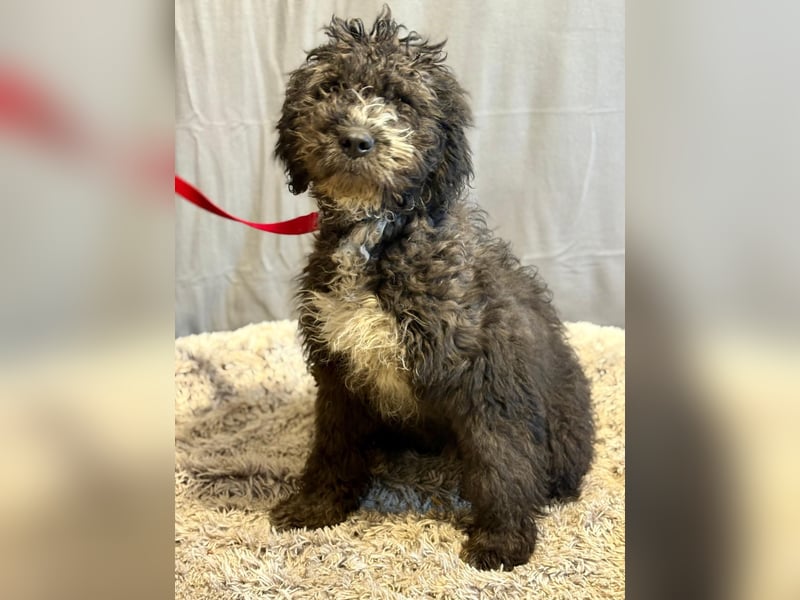 Cézi möchte so gerne dazugehören