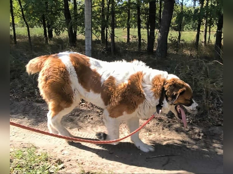 Ruslan sucht Menschen, bei denen er ankommen darf