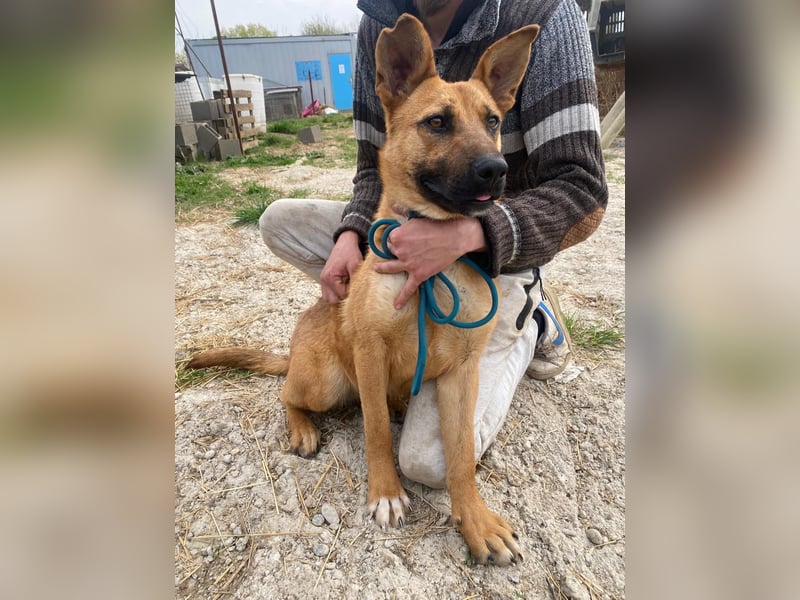 Eda sucht Abenteuer-Buddy
