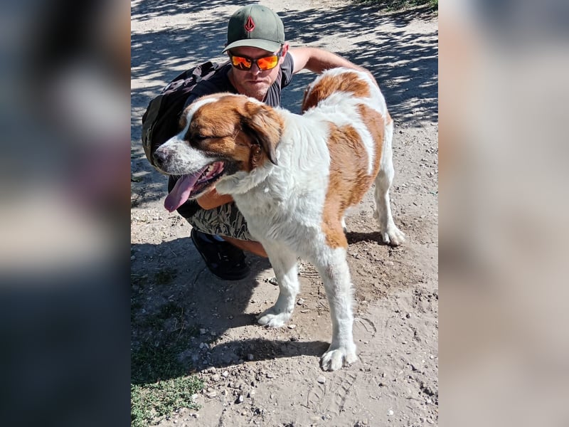 Ruslan sucht Menschen, bei denen er ankommen darf