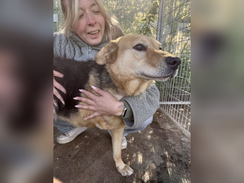 Jago hat ein großes Herz