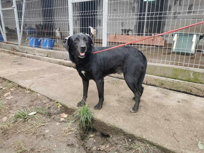 Nerino möchte gerne zu DIR reisen