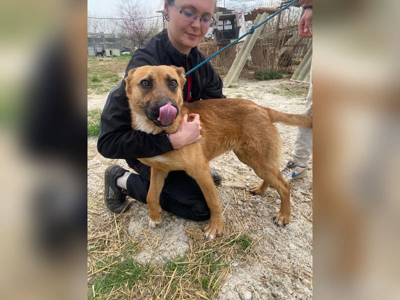 Eda sucht Abenteuer-Buddy